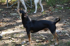 Enlarge photo 4