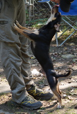 Enlarge photo 14