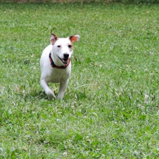 Enlarge photo 12