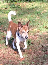 Roscoe