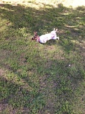 Enlarge photo 4