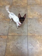 Tucker