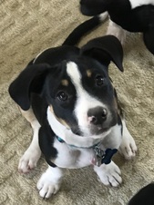 Benny