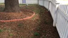 Enlarge MOV 15