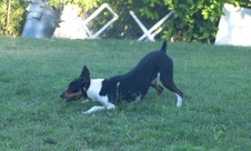 Enlarge photo 16