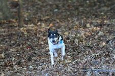 Enlarge photo 5