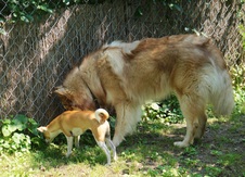 Enlarge photo 12