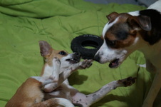 Enlarge photo 19