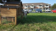 Enlarge photo 3