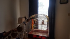 Enlarge photo 10