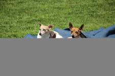 Enlarge photo 10