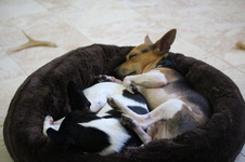 Enlarge photo 9