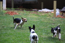 Enlarge photo 6