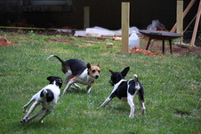 Enlarge photo 7