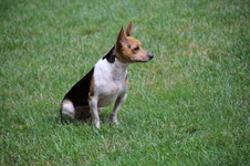 Enlarge photo 14