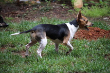 Enlarge photo 11
