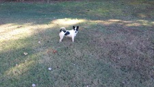 Enlarge photo 6
