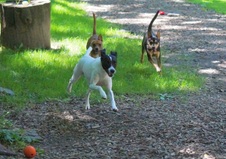 Enlarge photo 10