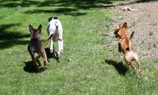 Enlarge photo 11