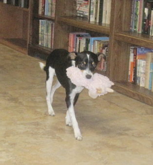 Enlarge photo 4