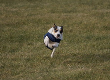 Enlarge photo 10