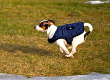 Enlarge photo 11