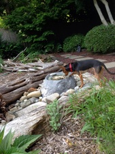 Enlarge photo 22