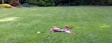 Enlarge photo 24