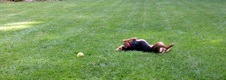 Enlarge photo 25