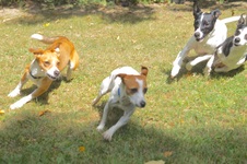 Enlarge photo 8