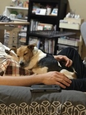 Enlarge photo 12