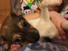 Theodore