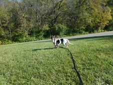 Enlarge photo 13