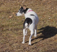 Enlarge photo 10