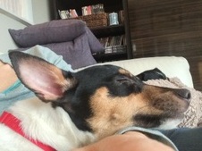 Enlarge photo 4