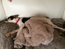Enlarge photo 3
