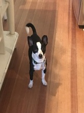 Booker