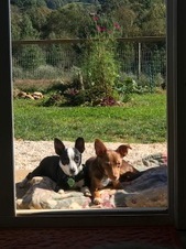 Enlarge photo 26