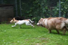 Enlarge photo 14