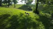 Enlarge photo 1