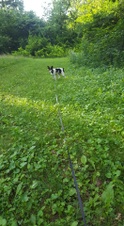 Enlarge photo 12