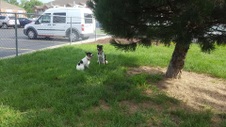Enlarge photo 14