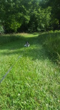 Enlarge photo 15