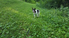 Enlarge photo 16