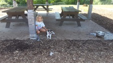 Enlarge photo 24