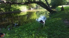 Enlarge photo 45