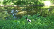 Enlarge photo 46