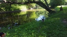 Enlarge photo 48