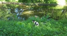 Enlarge photo 51