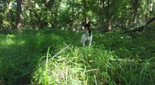 Enlarge photo 67